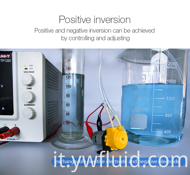 Pompa peristaltica a installazione rapida YWfluid 12V/24V con motore CC Resistente alla corrosione Utilizzata per il riempimento dell'aspirazione del trasferimento di liquidi